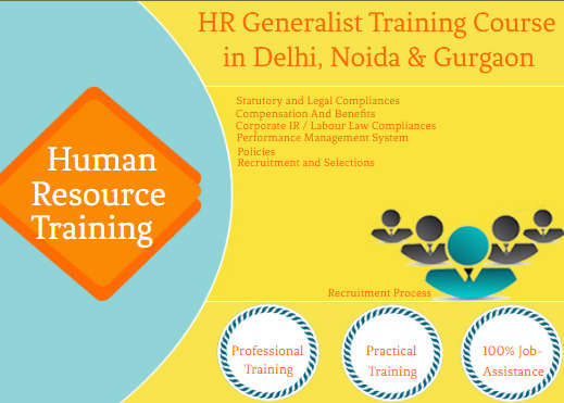 Best HR Generalist Training Institute in Delhi,  Best SAP HR Institute in Delhi,100% Job Guarantee Course by SLA 